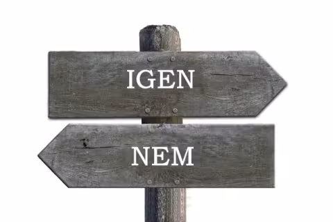 Igen-nem