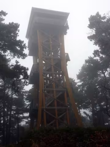 Fából készült szerkezet - Sörházdombi kilátó (Sopron)