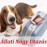 Állati utazás