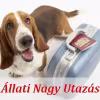 Állati utazás
