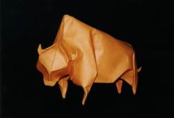 bölény